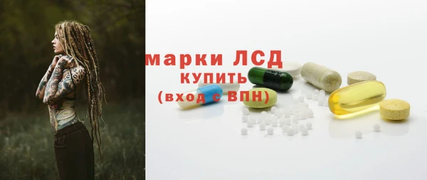 гидра Магас