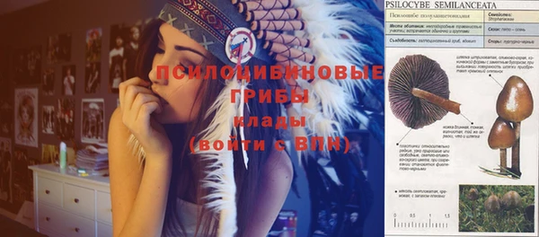 бошки Абдулино