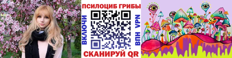 продажа наркотиков  Воронеж  Псилоцибиновые грибы ЛСД 